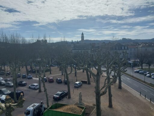SARL Auprès de mon Arbre : Taille douce Libourne Gironde.